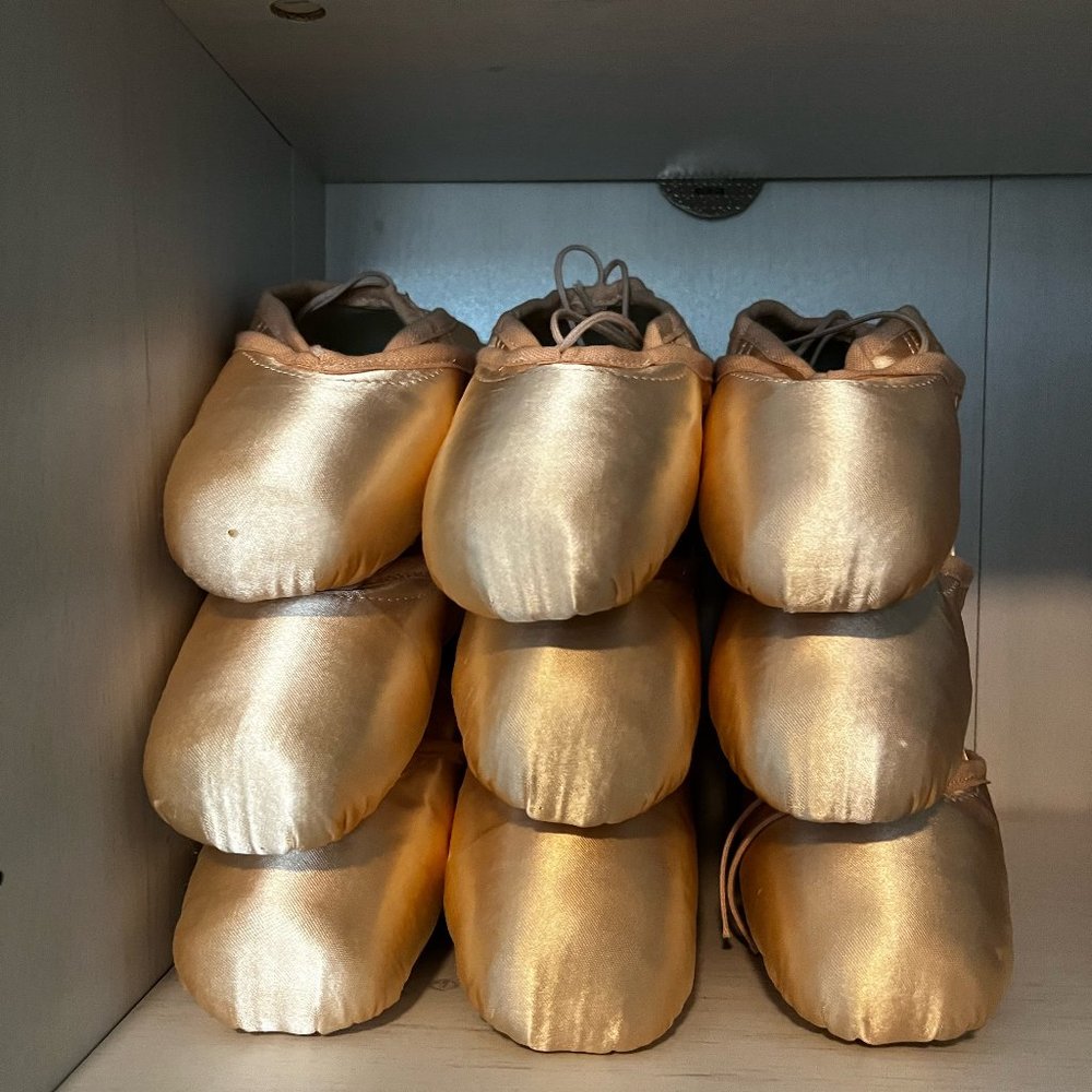 Freed of London Pointe Shoes DV Wing Size 4 Crown Maker